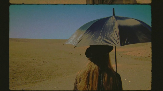Video Reference: Umbrella, Ecoregion, Sky, Natural environment, Shade, Art, People in nature, Feather, Adaptation, Plain