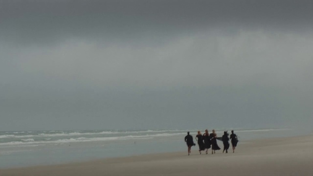 Video Reference: Water, Cloud, Sky, People on beach, Beach, Gesture, Travel, Wind wave, Landscape, Horizon