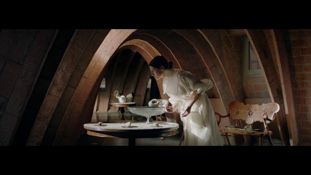 Video Reference: Flash photography, Table, Window, Entertainment, Performing arts, Event, Chair, Darkness, Door, Formal wear