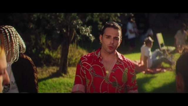 Video Reference: Plant, Flash photography, Happy, Grass, Beard, Tree, Landscape, Leisure, Grassland, Event