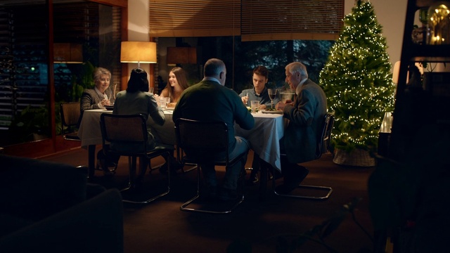 Video Reference: Christmas tree, Property, Table, Chair, Plant, Interior design, Tree, Houseplant, Suit, Coffee table