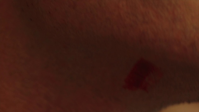 Video Reference: Brown, Wood, Tints and shades, Landscape, Flooring, Font, Magenta, Peach, Hardwood, Pattern