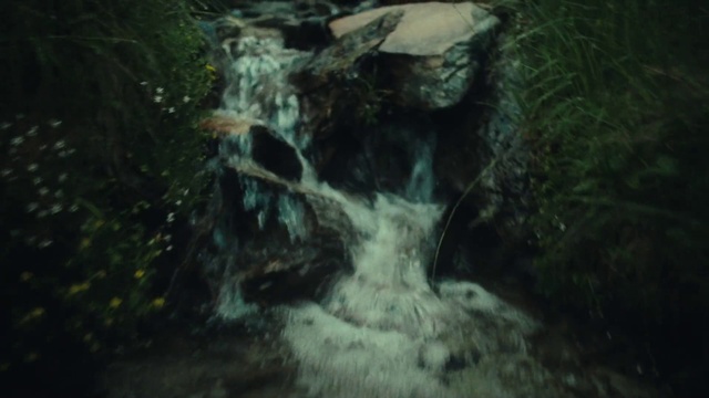 Video Reference: Water, Plant, Natural landscape, Waterfall, Wood, Trunk, Terrain, Grass, Bank, Formation