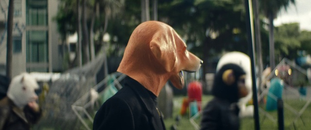 Video Reference: Fawn, Grass, Recreation, Leisure, Event, Eyewear, Wrinkle, T-shirt, Crowd, Fun