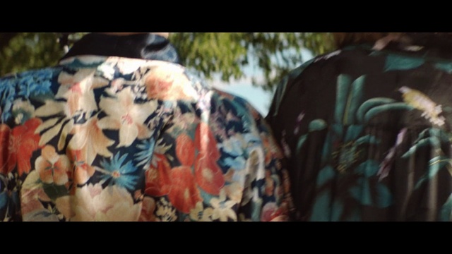 Video Reference: Plant, Neck, Gesture, Cool, Woody plant, Hat, Grass, Font, Tints and shades, Art