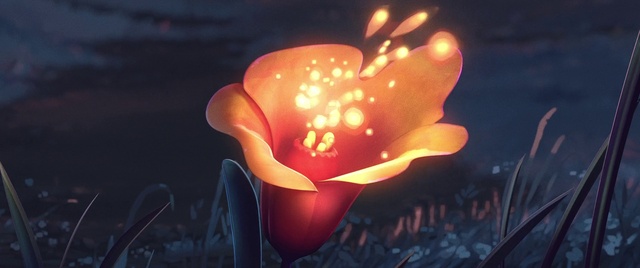 Video Reference: Flower, Plant, Water, Petal, Flash photography, Orange, Automotive lighting, Gesture, Sky, Gas
