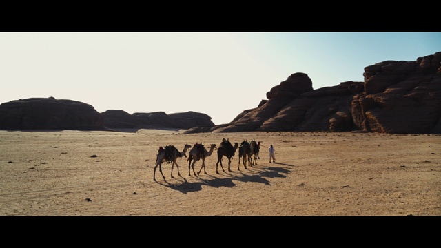 Video Reference: Sky, Camel, Working animal, Horizon, Camelid, Landscape, Arabian camel, Singing sand, Aeolian landform, Terrestrial animal