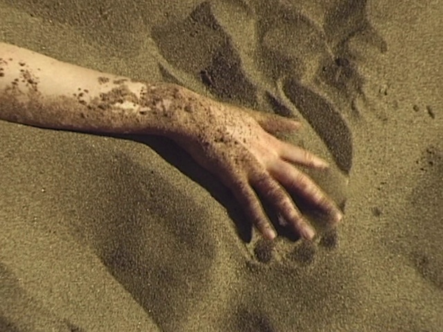 Video Reference: Leg, Human body, Beach, Wood, Gesture, Barefoot, Nail, People in nature, Finger, Toe