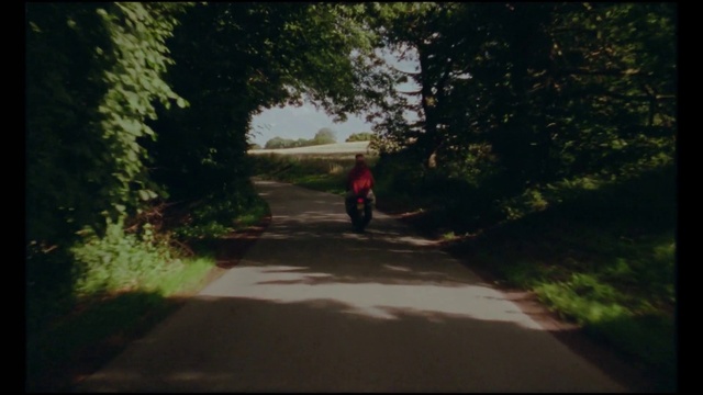 Video Reference: Plant, Road surface, Automotive lighting, Asphalt, Vehicle, Tree, Shade, Thoroughfare, Grass, Natural landscape