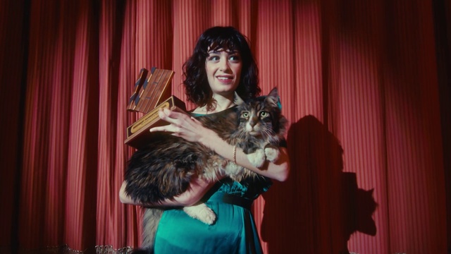 Video Reference: Cat, Textile, Felidae, Curtain, Entertainment, Carnivore, Fawn, Small to medium-sized cats, Whiskers, Performing arts