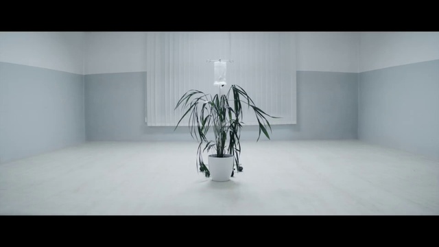 Video Reference: Art, Tints and shades, Wood, Font, Ceiling, Automotive design, Darkness, Monochrome photography, Glass, Event