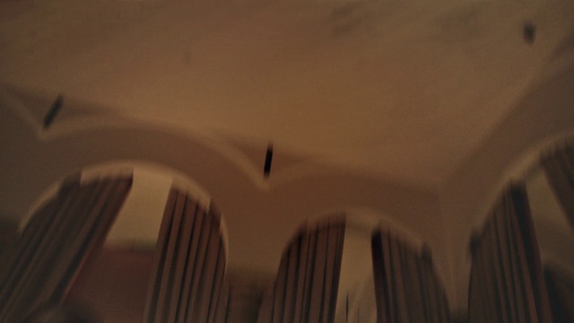 Video Reference: Wood, Eyelash, Tints and shades, Hardwood, Symmetry, Ceiling, Pattern, Building, Plaster, Shadow