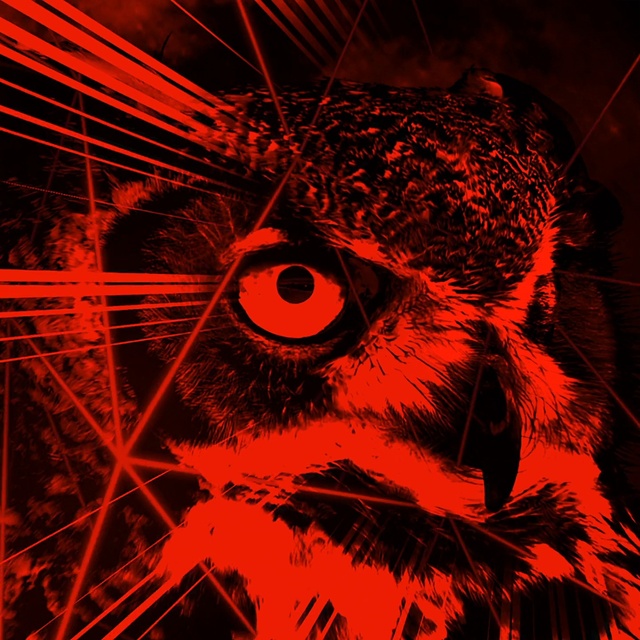 Video Reference: Eye, Human body, Art, Whiskers, Painting, Font, Snout, Terrestrial animal, Wildlife, Drawing