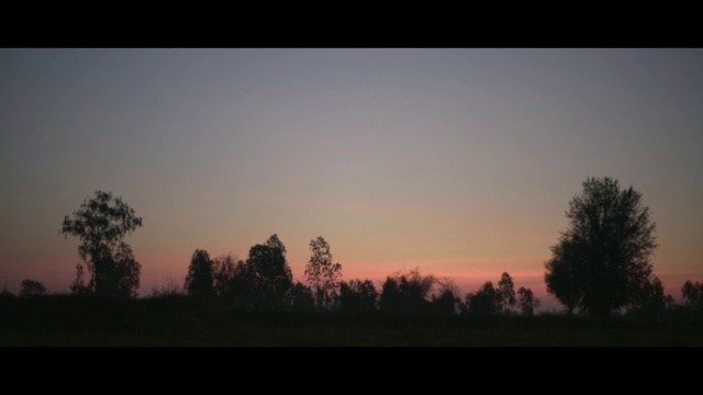 Video Reference: Sky, Atmosphere, Cloud, Ecoregion, Natural landscape, Afterglow, Tree, Plant, Branch, Red sky at morning