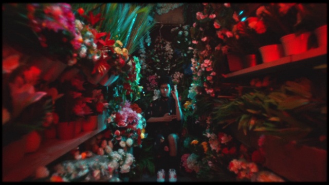 Video Reference: Plant, Pink, Entertainment, Magenta, Event, Ornament, Darkness, Crowd, Christmas ornament, Font