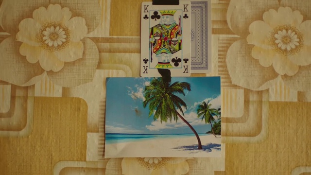 Video Reference: Leaf, Botany, Product, Azure, Rectangle, Textile, Wood, Font, Tree, Wall