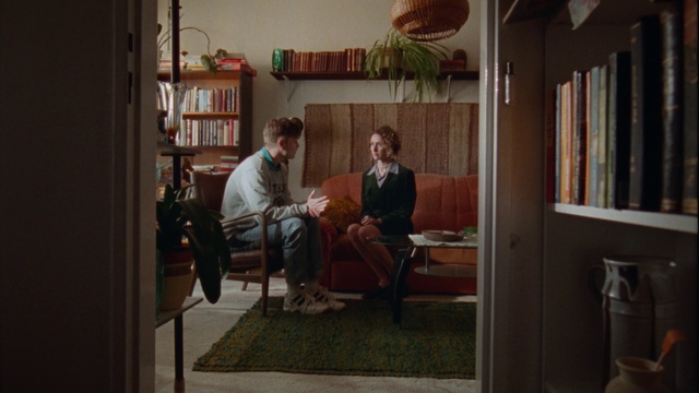 Video Reference: Bookcase, Picture frame, Plant, Interior design, Houseplant, Wood, Building, Shelf, Chair, Living room