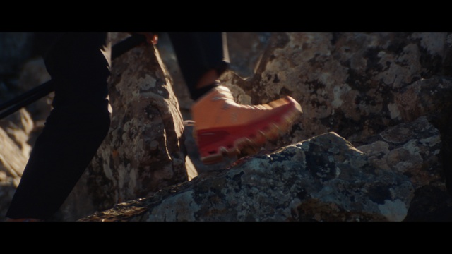 Video Reference: Flash photography, Wood, Human leg, Soil, Carmine, Trunk, Tree, Elbow, Darkness, Asphalt