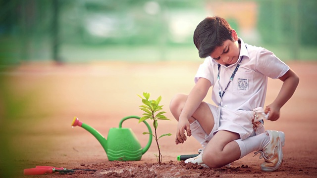 Video Reference: Smile, People in nature, Hat, Happy, Grass, Shorts, Cap, Baseball cap, Leisure, Knee