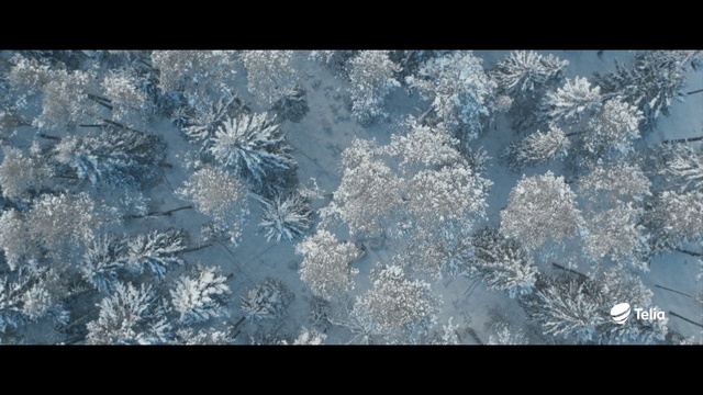 Video Reference: Plant, Cloud, Natural landscape, Twig, Freezing, Tree, Tints and shades, Grass, Snowflake, Landscape