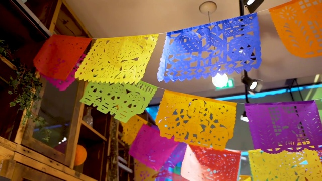 Video Reference: Leaf, Textile, World, Organism, Architecture, Interior design, Wall, Line, Red, Pattern