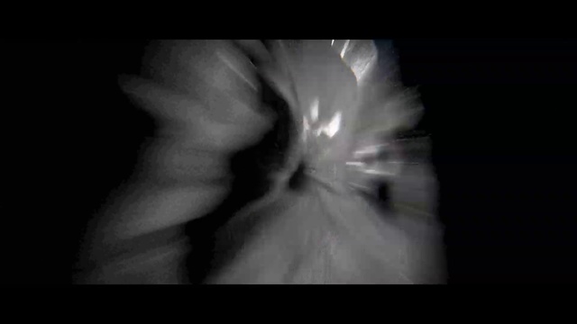 Video Reference: Plant, Flash photography, Petal, Gesture, Sky, Font, Flower, Tree, Darkness, Flowering plant
