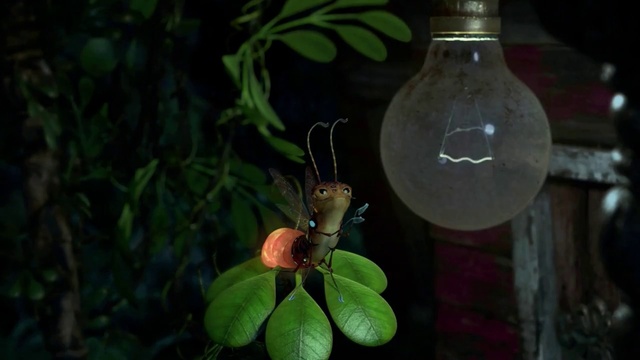 Video Reference: Plant, Leaf, Natural environment, Branch, Organism, Terrestrial plant, Twig, Wood, Arthropod, Gas