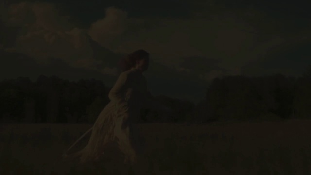 Video Reference: Flash photography, Grey, Wood, Tints and shades, Landscape, Art, Event, Wedding dress, Happy, Sky