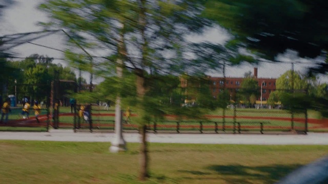 Video Reference: Plant, Branch, Vegetation, Sky, Land lot, Shade, Tree, Road surface, Grass, Leisure