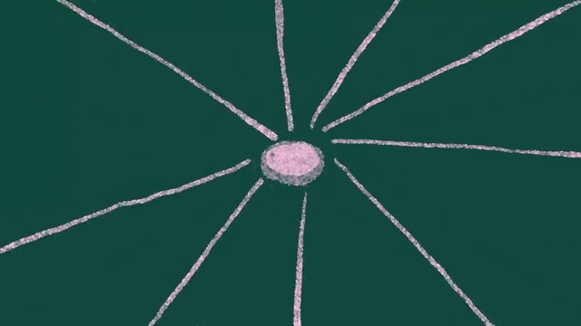 Video Reference: Terrestrial plant, Sky, Symmetry, Circle, Electric blue, Natural material, Grass, Event, Invertebrate, Pattern