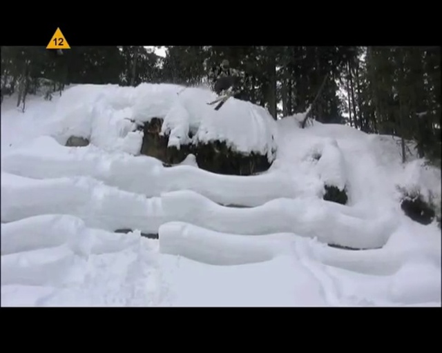 Video Reference: Snow, Natural landscape, Slope, Font, Freezing, Geological phenomenon, Tree, Landscape, Twig, Winter