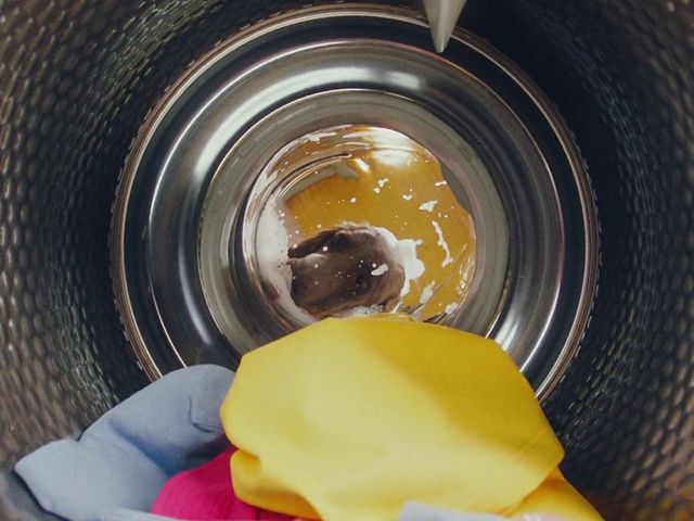 Video Reference: Automotive tire, Yellow, Camera lens, Tire, Rim, Circle, Food, Automotive wheel system, Auto part, Drink