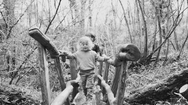 Video Reference: black and white, children, bridge, wooden bridge, forest, woods, outdoors, walking, nature, play, rustic, path, trees, countryside