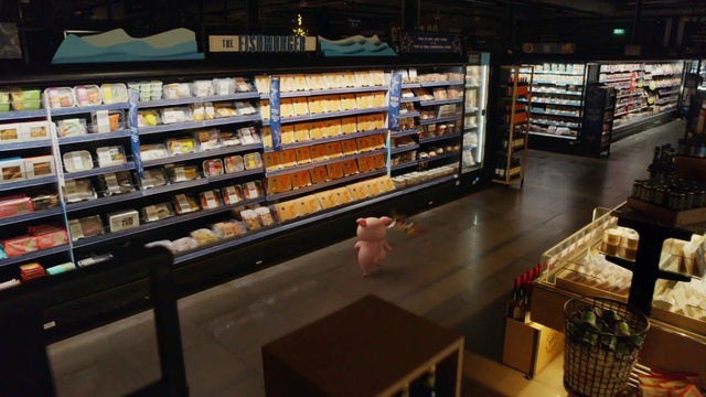 Video Reference: Food, Shelf, Publication, Shelving, Building, Wood, Convenience store, Customer, Retail, Floor