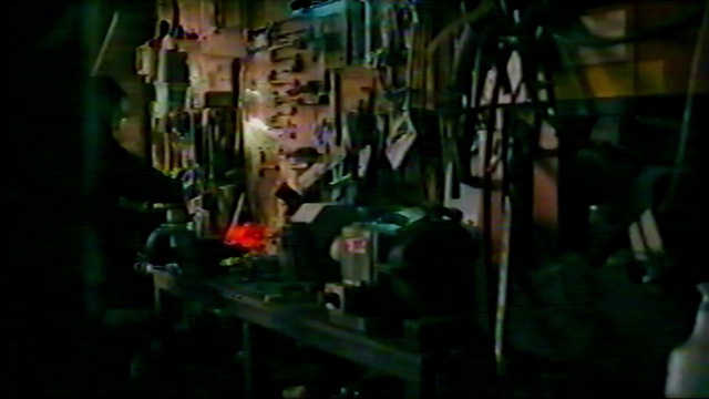 Video Reference: Terrestrial plant, Grass, Plant, Glass, Event, Room, Art, Transparency, Metal, Floristry