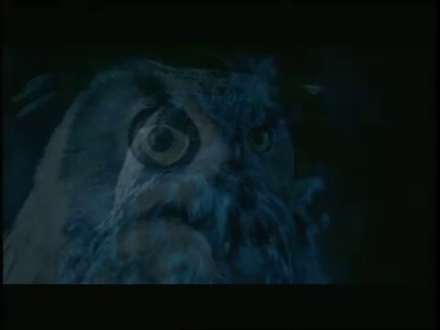Video Reference: Art, Painting, Owl, Electric blue, Bird of prey, Visual arts, Darkness, Font, Circle, Drawing