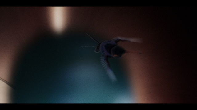 Video Reference: Atmosphere, Flash photography, Sky, Space, Electric blue, Darkness, Wing, Event, Lens flare, Art