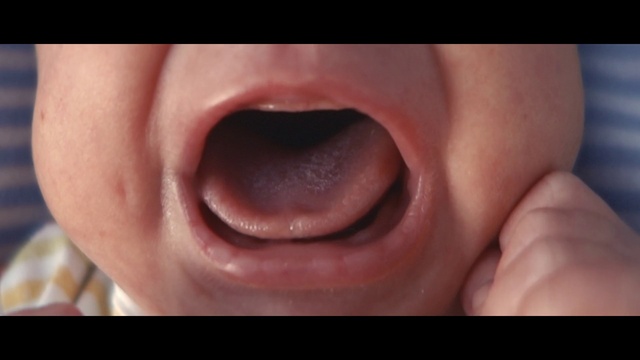 Video Reference: Nose, Cheek, Lip, Chin, Mouth, Eyelash, Jaw, Neck, Gesture, Iris