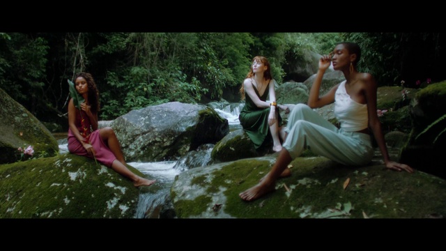 Video Reference: Water, Plant, People in nature, Natural environment, Flash photography, Happy, Natural landscape, Terrestrial plant, Leisure, Grass