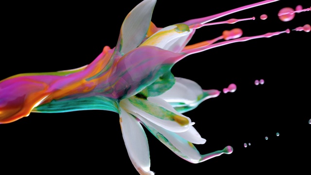 Video Reference: Flower, Plant, Petal, Terrestrial plant, Art, Pedicel, Magenta, Flowering plant, Event, Creative arts