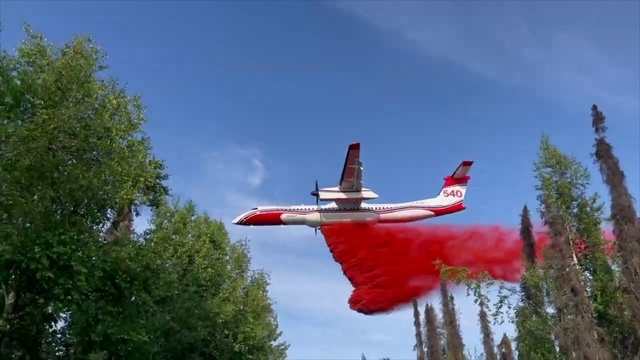 Video Reference: Sky, Cloud, Aircraft, Tree, Vehicle, Aerospace manufacturer, Monoplane, Airplane, Flap, Aviation