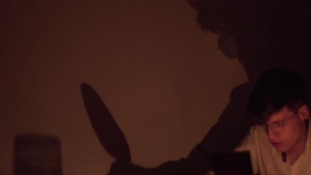 Video Reference: Flash photography, Gesture, Musician, Tints and shades, Musical instrument accessory, Sky, Space, Event, Darkness, String instrument