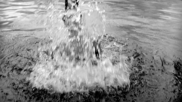 Video Reference: Water, Plant, Liquid, Black-and-white, Wood, Body of water, Style, Tree, Lake, Sky