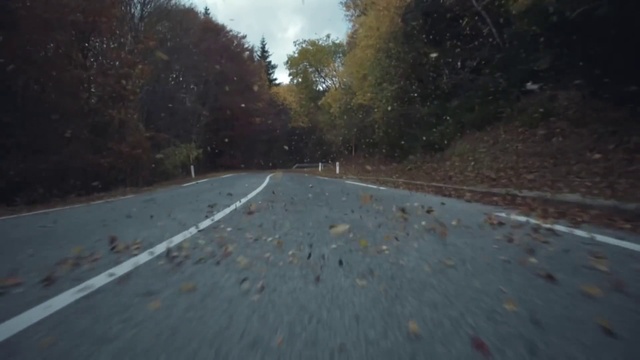 Video Reference: Sky, Road surface, Asphalt, Automotive lighting, Tree, Tar, Atmospheric phenomenon, Thoroughfare, Grass, Natural landscape