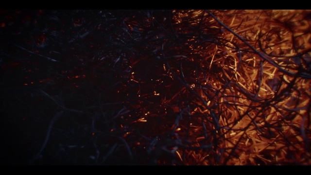 Video Reference: Amber, Twig, Heat, Grass, Tints and shades, Rectangle, Water, Event, Space, Electric blue