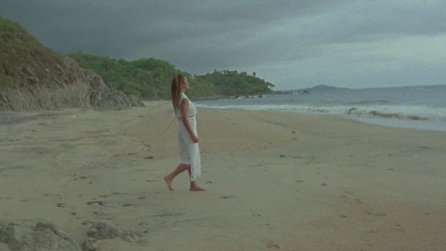 Video Reference: Water, Sky, Cloud, Beach, People on beach, Coastal and oceanic landforms, Horizon, Landscape, Wind wave, Tree
