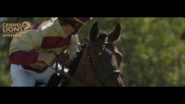 Video Reference: Horse, Working animal, Gesture, Horse supplies, Bit, Bridle, Horse tack, Fawn, Liver, Rein