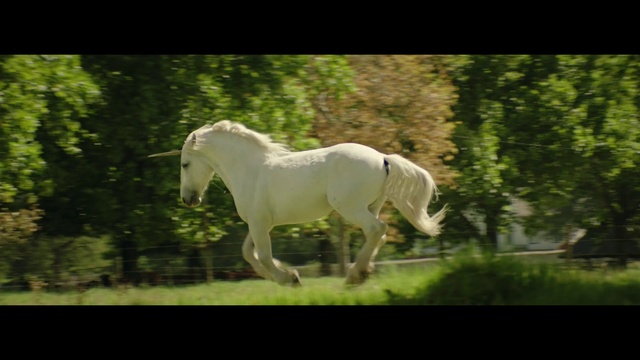 Video Reference: Hair, Horse, Plant, Nature, Tree, Natural landscape, Grass, Working animal, Mane, Terrestrial animal