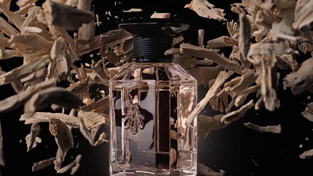 Video Reference: Style, Wood, Art, Skeleton, Event, Space, Monochrome photography, Monochrome, Metal, Automotive design