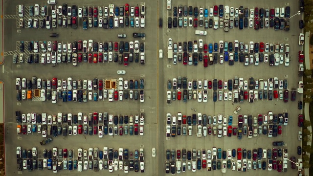 Video Reference: White, Line, Crowd, Symmetry, Font, Event, Games, Art, Recreation, Collection